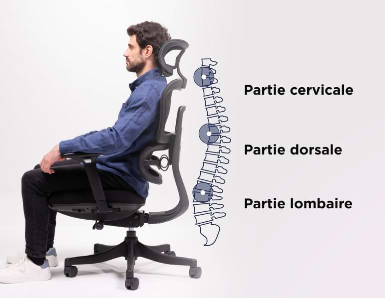 La Chaise De Bureau Ergonomique PERCKO For Professionals